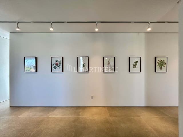 Imagem 28 da galeria