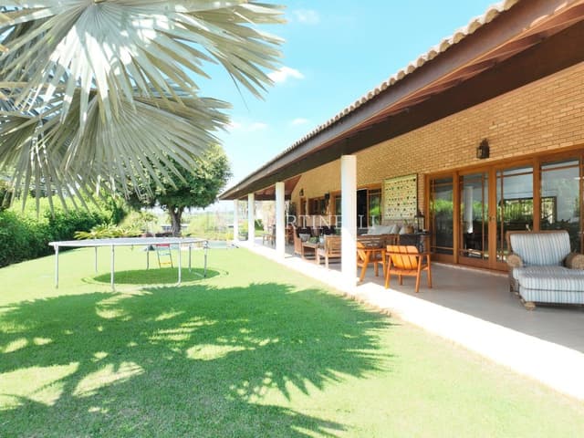 Imagem 23 da galeria