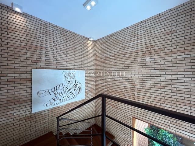 Imagem 54 da galeria
