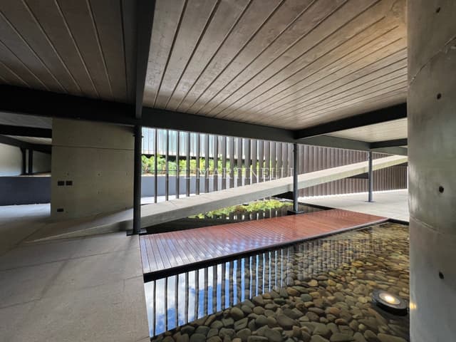 Imagem 22 da galeria