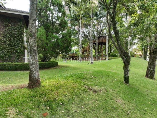 Imagem 61 da galeria