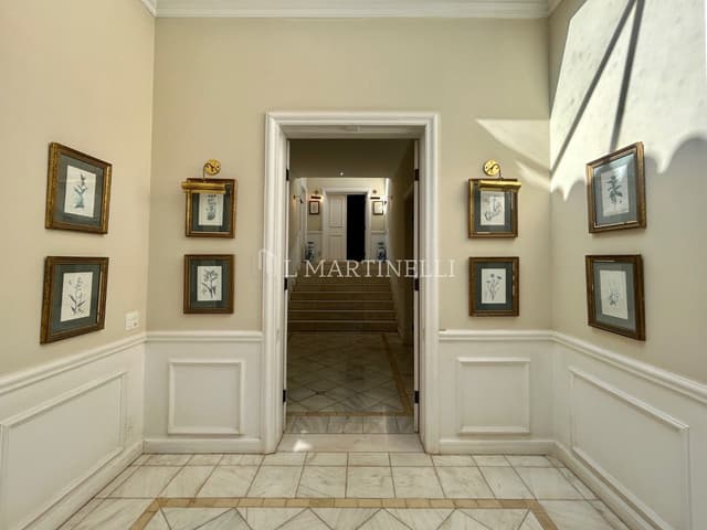 Imagem 33 da galeria