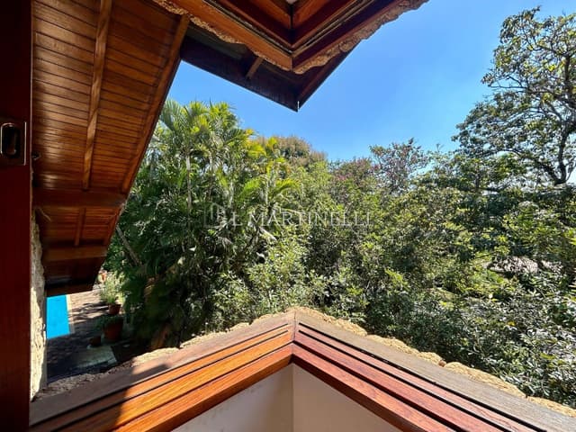 Imagem 37 da galeria