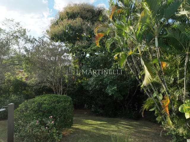 Imagem 46 da galeria