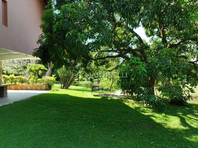 Imagem 24 da galeria