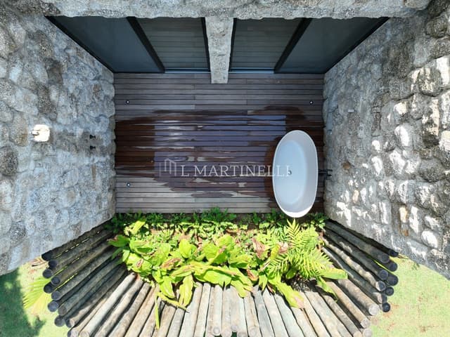 Imagem 54 da galeria