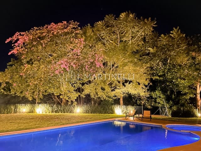 Imagem 13 da galeria
