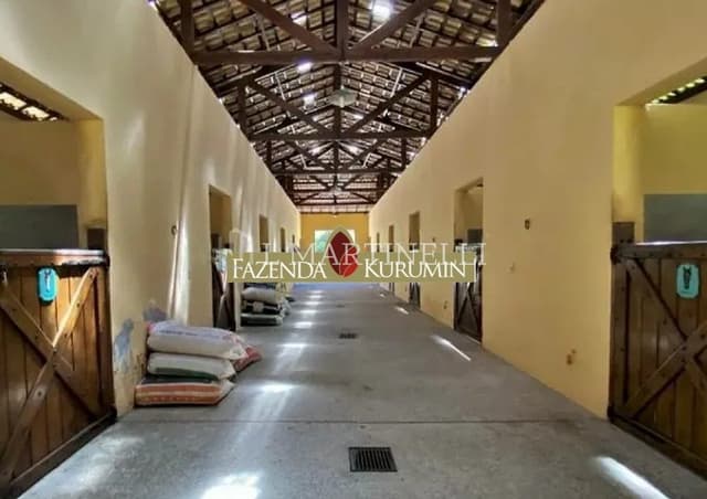 Imagem 30 da galeria