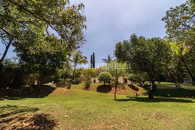 Imagem 52 da galeria
