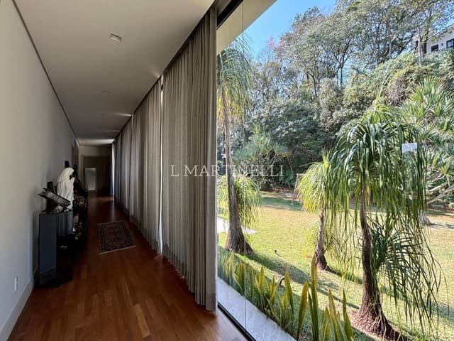 Imagem 31 da galeria