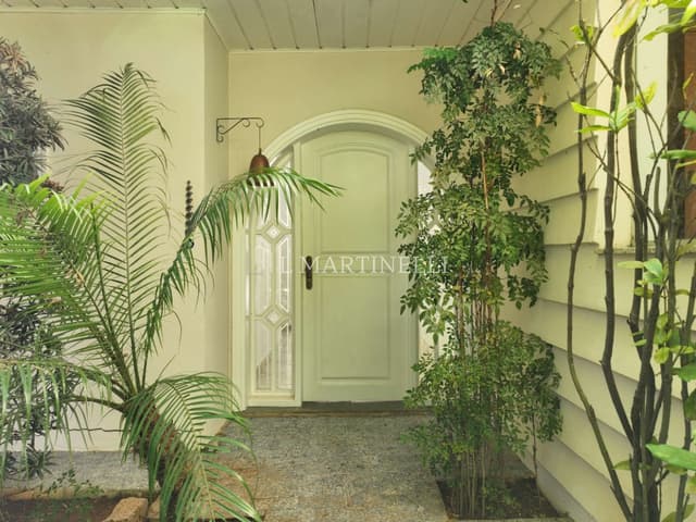Imagem 3 da galeria