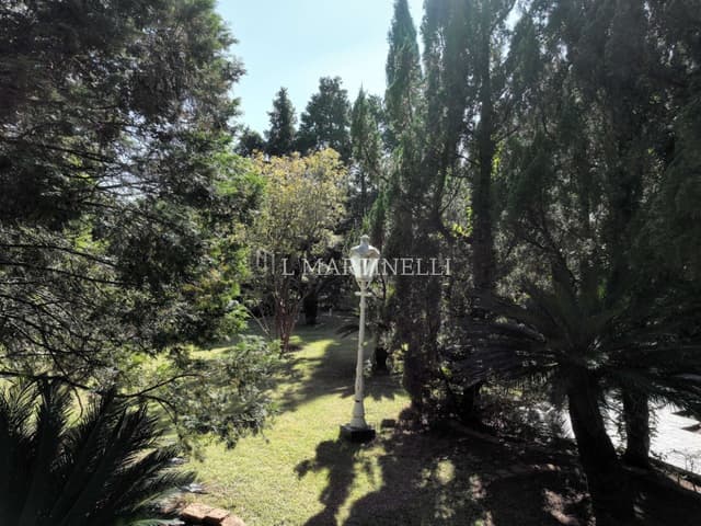 Imagem 46 da galeria
