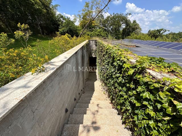 Imagem 77 da galeria