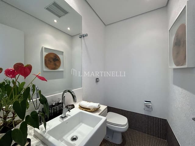 Imagem 13 da galeria