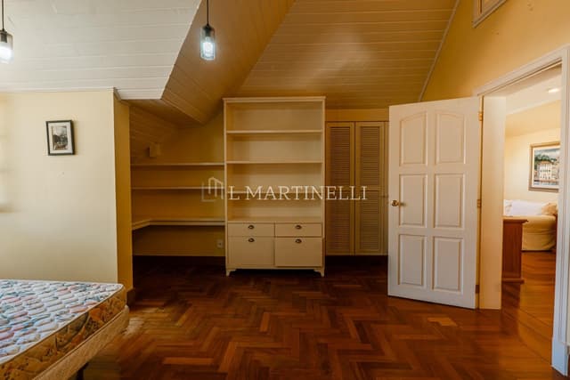 Imagem 46 da galeria