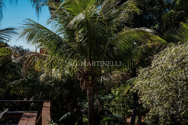 Imagem 36 da galeria