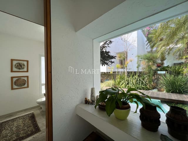 Imagem 33 da galeria