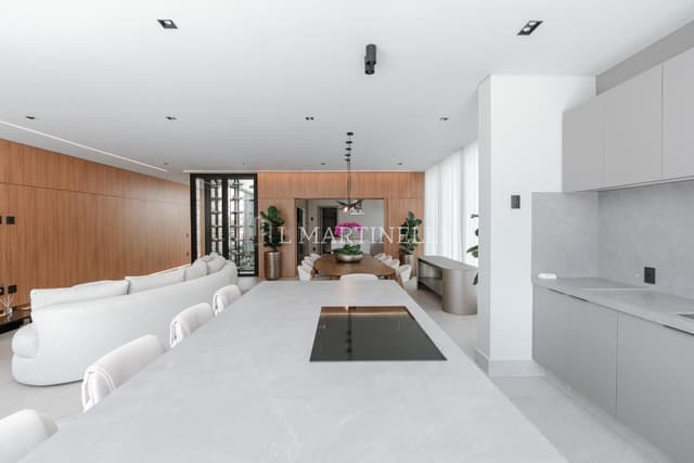 Imagem 10 da galeria