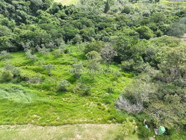 Imagem 2 da galeria