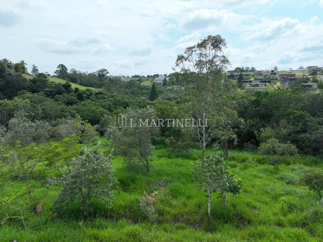 Imagem 5 da galeria