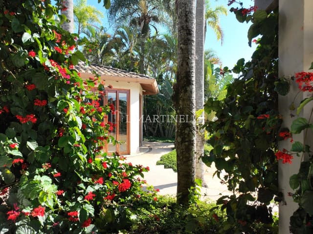 Imagem 26 da galeria