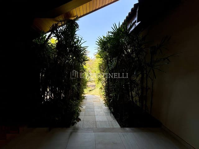 Imagem 2 da galeria