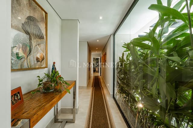 Imagem 24 da galeria