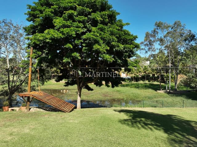 Imagem 64 da galeria