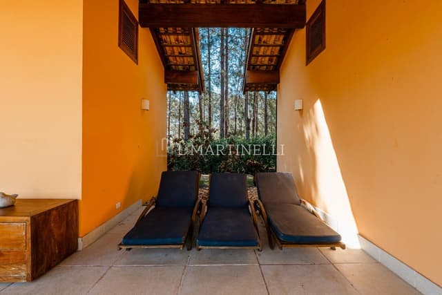 Imagem 35 da galeria
