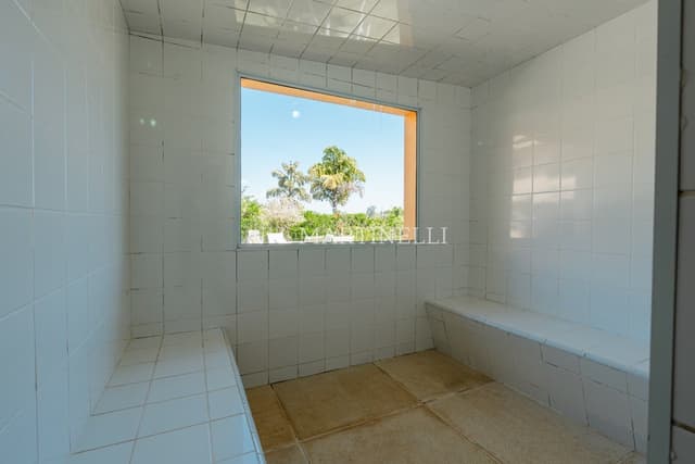 Imagem 57 da galeria