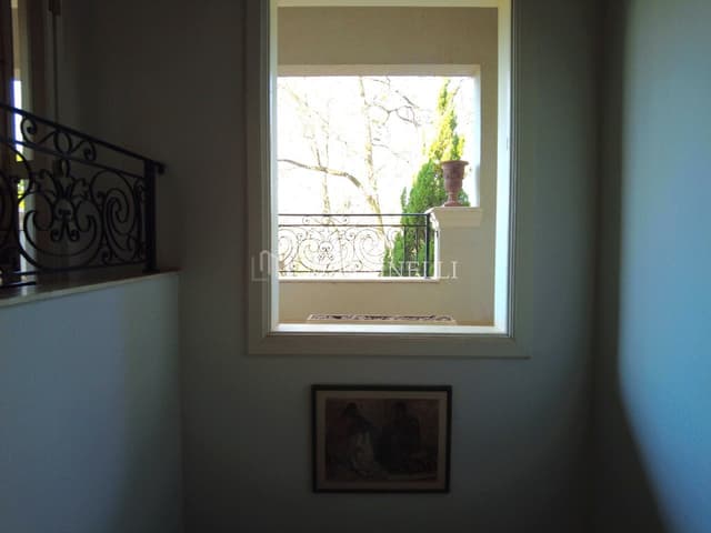 Imagem 24 da galeria