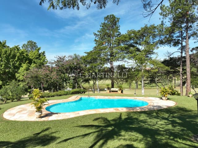 Imagem 27 da galeria