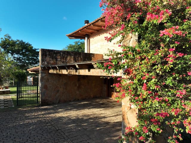 Imagem 52 da galeria