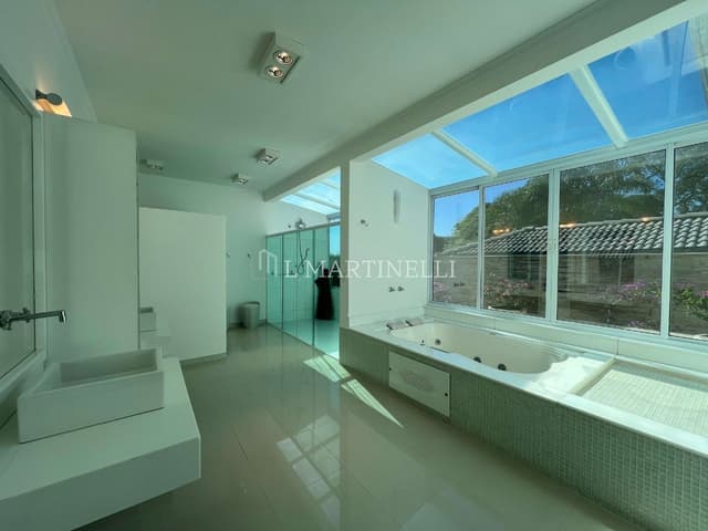 Imagem 41 da galeria