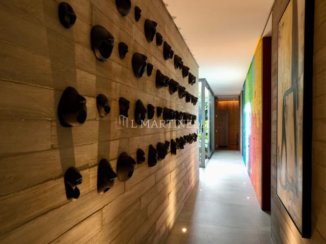 Imagem 38 da galeria