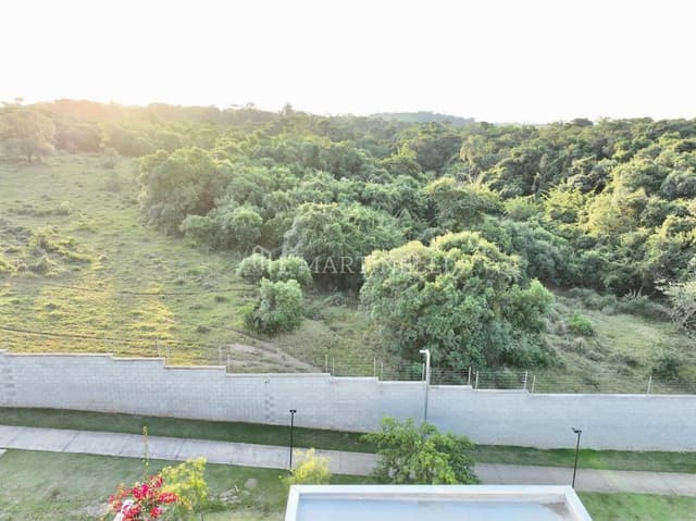 102.jpg