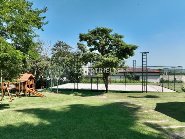 Imagem 36 da galeria