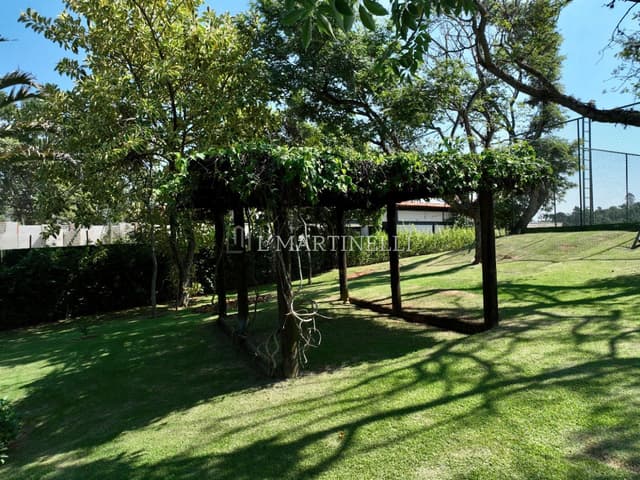 Imagem 43 da galeria