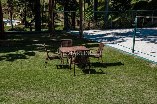 Imagem 35 da galeria
