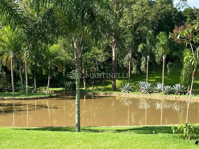 Imagem 22 da galeria