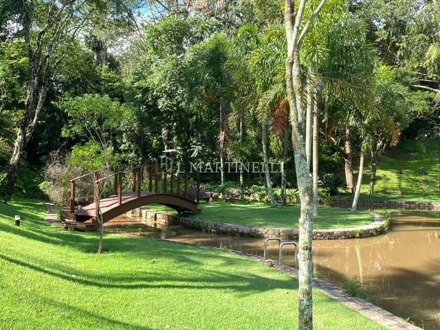 Imagem 23 da galeria