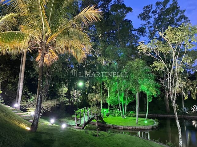 Imagem 24 da galeria