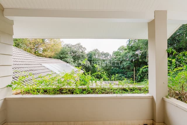 Imagem 47 da galeria