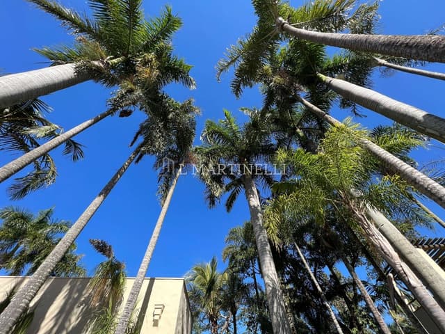 Imagem 63 da galeria