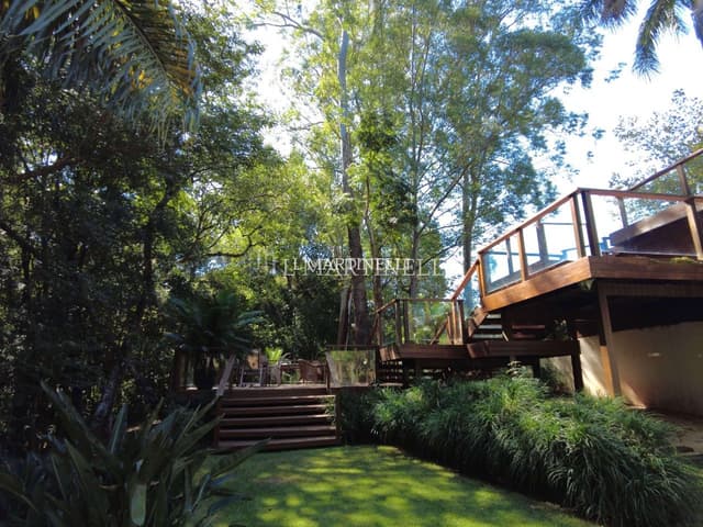 Imagem 39 da galeria