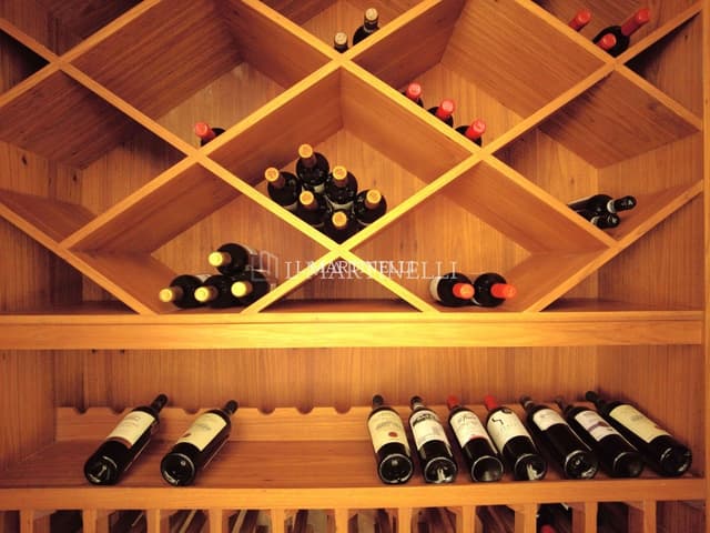 Imagem 43 da galeria