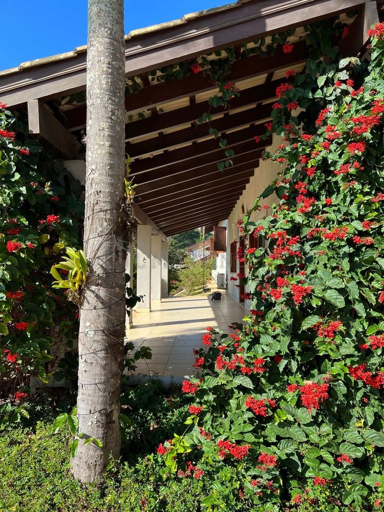 Casa no Terras de São José I — foto 3