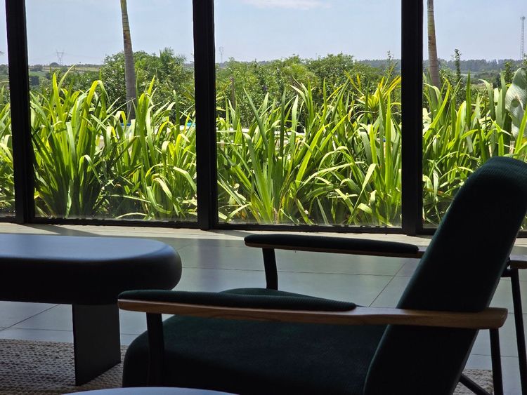 Casa no Fazenda Alvorada — foto 4